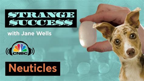 Inside Neuticles, Canine Testicular Implants — Strange Success Podcast ...