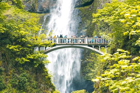 10 Best Hiking Trails Around Portland - Portland’s Most Popular Hiking Spots – Go Guides