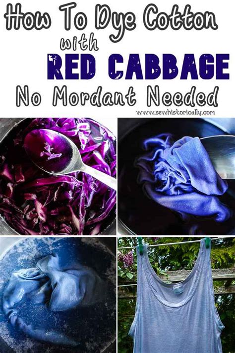 How To Dye Cotton Blue With Red Cabbage (No Mordant) - Sew Historically