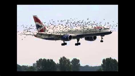 Most unusual airplane crashes - YouTube