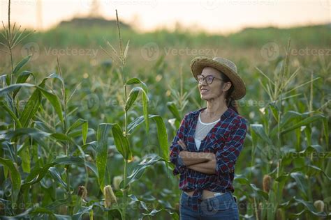 Portrait of pretty young farmer woman with crossed arms, Beautiful morning sunrise over the corn ...