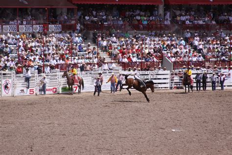 Adventure Everyday with the Mize Family: Cheyenne WY Rodeo