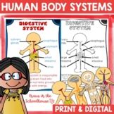 Human Body Systems Worksheets And Activities Teaching Resources | TPT