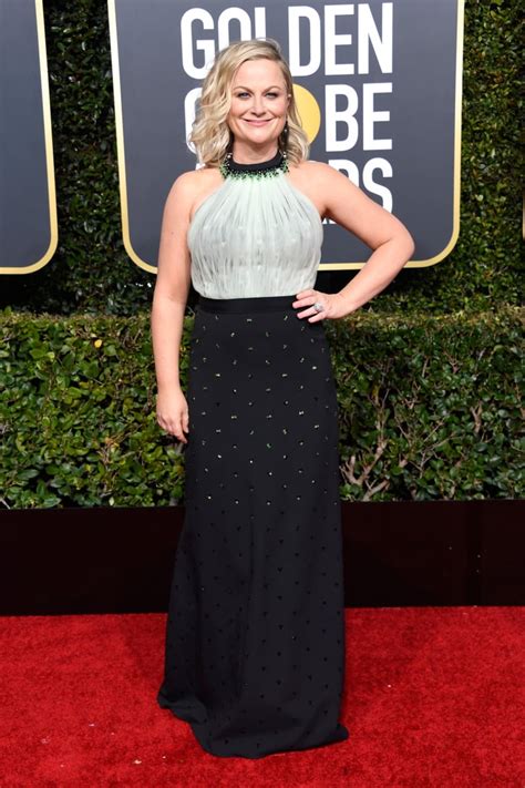 Amy Poehler at the 2019 Golden Globes | Golden Globes Red Carpet Dresses 2019 | POPSUGAR Fashion ...