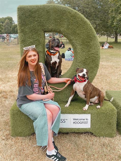 'Think Glastonbury for dogs' - Dogfest 2023 is the ultimate dog-day out