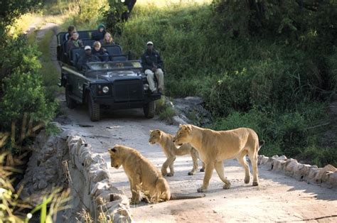 What your travel agent should tell you about the Kruger Park | Discover Africa Safaris