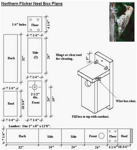 Free Birdhouse Plans for Cardinals Awesome Download northern Cardinal ...