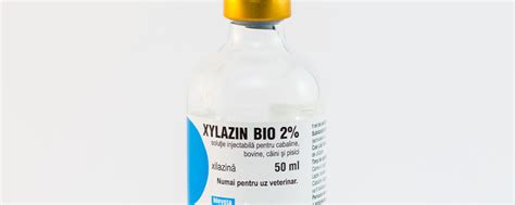 The Dangers of Xylazine Human Consumption | Banyan Chicago