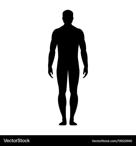 Human front side silhouette Royalty Free Vector Image