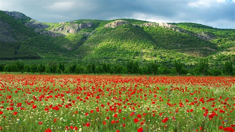 Bulgaria Landscape Wallpapers - Top Free Bulgaria Landscape Backgrounds ...