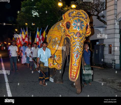 Sri Lankan Elephant Parade