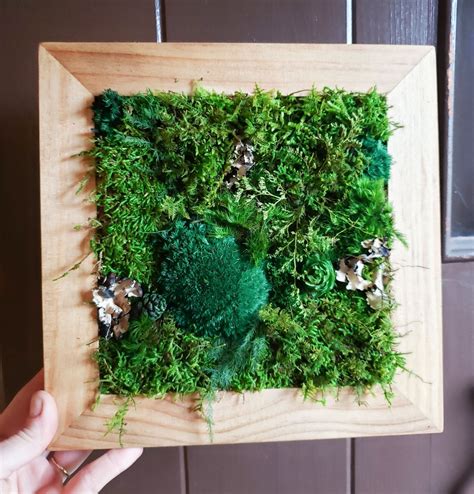 Moss Picture Diy How To