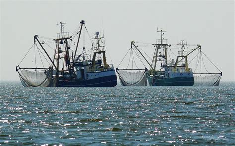 trawl-fishing-nets-001 - Coastal Nets Limited