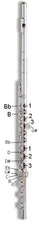 C Concert Flute Key Diagram