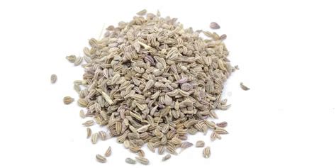 A picture of carom seeds , stock photo. Image of herbal - 153258782