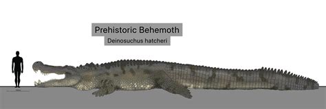 Deinosuchus hatcheri p2 by Sobek1926 on DeviantArt