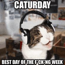 Caturday Happy Caturday GIF - Caturday HappyCaturday Cat - Discover ...