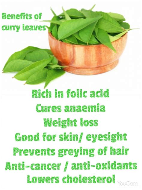 Curry leaves benefits – Mr and Mrs Senthilkumar's Kitchen