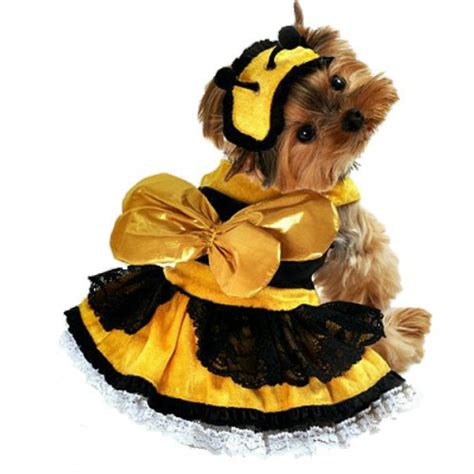 Honey Bee Dog Costume | Anit Pet at PupRwear