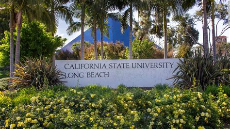 Cal State Long Beach halts in-person classes and locks down campus after Covid-19 positive tests ...