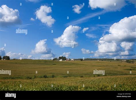 iowa corn field Stock Photo - Alamy