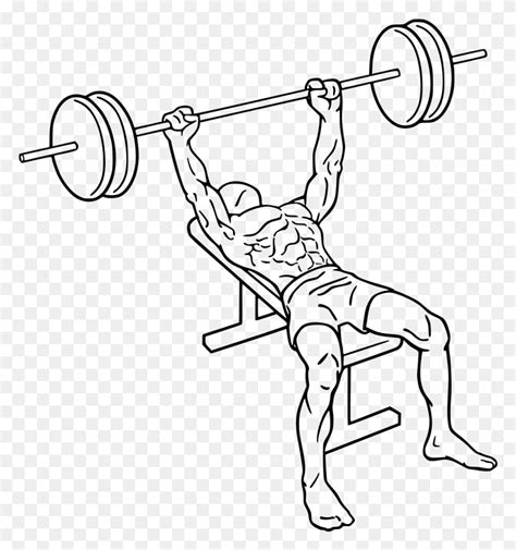 Bench Press Dumbbell Bench Press Diagram, Gray, World Of Warcraft HD PNG Download – Stunning ...