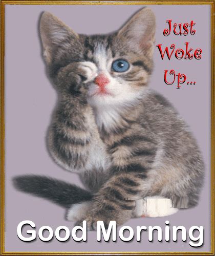 A Very Cute Morning Ecard. Free Good Morning eCards, Greeting Cards | 123 Greetings