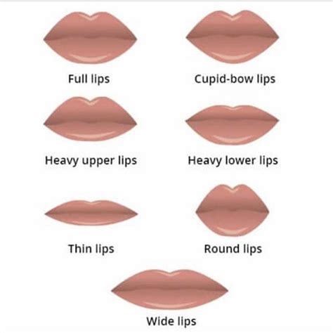 Which one are you? | Types of lips shape, Lip shapes, Cupids bow lips