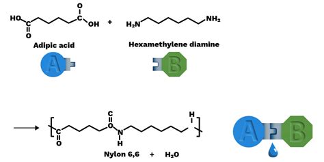 Condensation polymerization - Labster