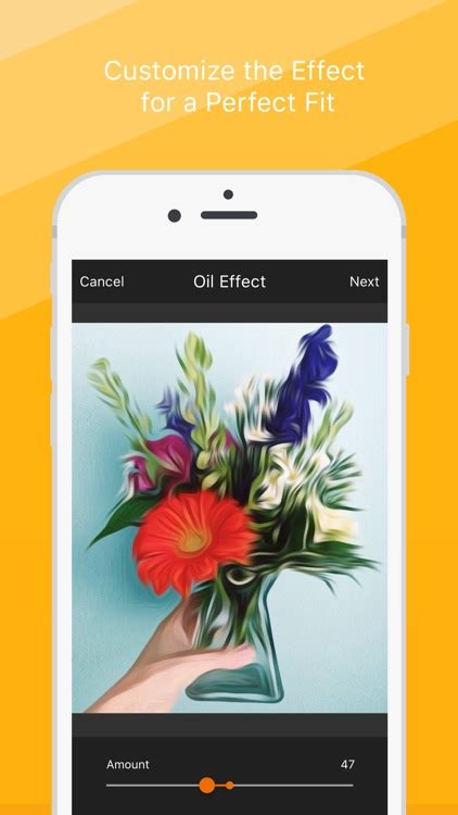 Oil Painting Effect - Convert Your Photos into Oil Paintings by Photo and Video Creative Labs, Inc.