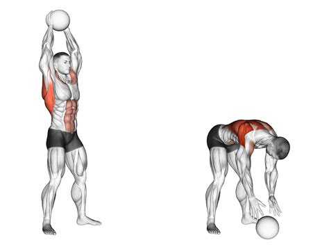 Medicine Ball Slam Alternatives: How to Target the Same Muscles - Inspire US