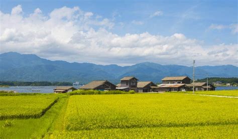 Guide to Akiya: Vacant Houses in the Japanese Countryside for a Steal ...