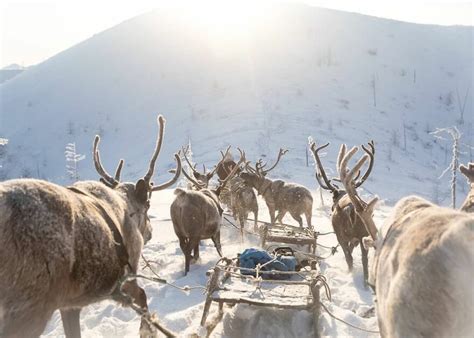 20 Photos Of The People Living In Yakutia, A Place Where It Gets As Cold As -58 Fahrenheit ...