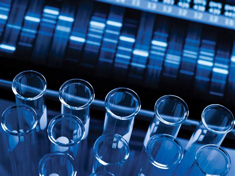 UN calls for global database of human gene editing research | Modern ...