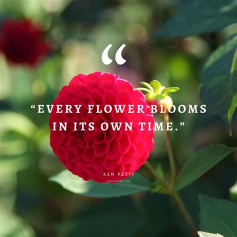 55 Inspirational Flower Quotes - Beautiful Motivational Sayings with ...