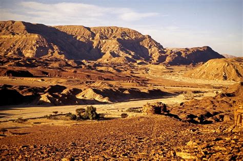 In Egypt's Sinai Wilderness | The Travel Pages