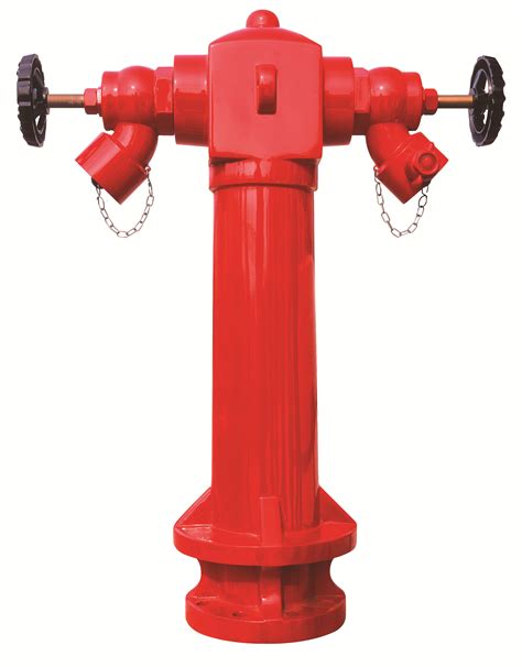 China High Quality Wet Barrel Pillar /Ground Fire Hydrant 2 Ways with Valves Photos & Pictures ...