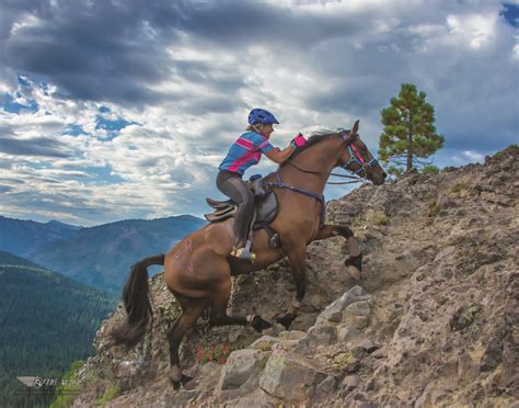 Is Endurance Riding for You? - - The Northwest Horse Source