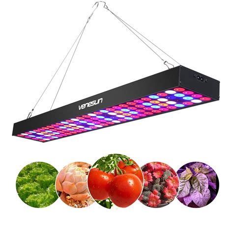 10 Cheap LED Grow Lights for Plants | Top Quality Guaranteed