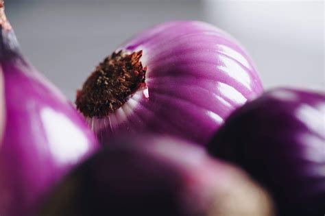 Red Onions Free Stock Photo | picjumbo