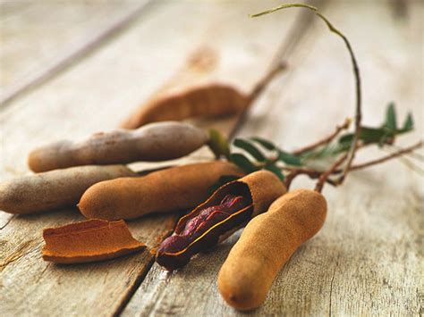 Tamarind - Definition of Tamarind