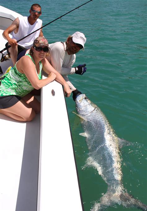 June 2014 Tarpon Season Report - Florida Tarpon Fishing Charters