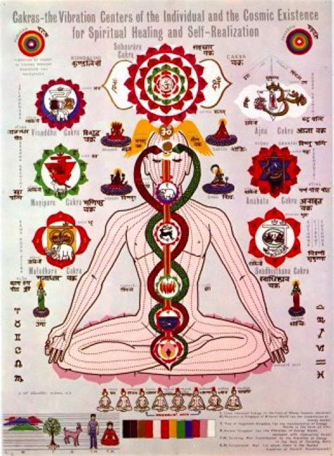 Nadis, Chakras and the Energy Centers in the Body | Kundalini yoga ...