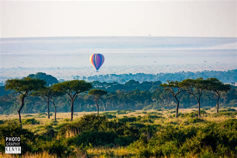 Safari & Wildlife Photography - Photography Kenya