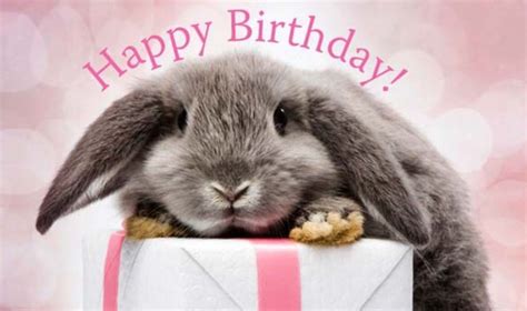 Pin von K. W. auf Birthday wishes | Alles gute zum geburtstag fotos, Alles gute zum geburtstag ...