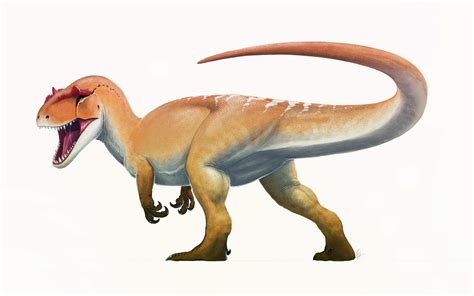 7 Incredible Allosaurus Facts Beyond Your Cognition