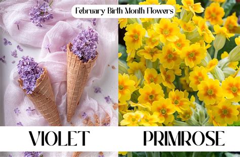 List Of Flowers For Birthday Months | Best Flower Site