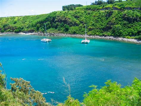 Honolua Bay Snorkeling Secrets! The Complete Guide to Maui Snorkeling!