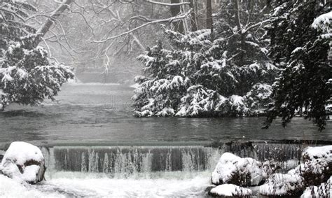 Winter in English Garden, Munich Stock Photo - Image of scenic, english: 48993166