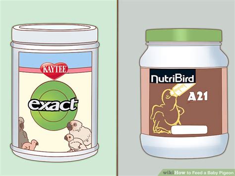 Easy Ways to Feed a Baby Pigeon: 12 Steps (with Pictures)